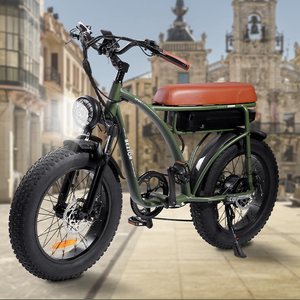 <span class=keywords><strong>Bezior</strong></span> XF001 luxe classique électrique rétro vélo 1000W puissant cadre en alliage d'aluminium chargeur USB 48V 350W 20*4.0 graisse de pneu - Product Image 6