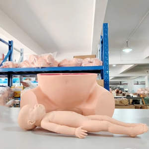 Modèle avancé de formation de sage-femme en sciences médicales pour l'enseignement de l'obstétrique médicale et de la gynécologie - Product Image 6