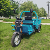 Camion de livraison à trois roues, tricycle électrique de transport de marchandises pour adultes, tricycle électrique de haute qualité