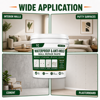 Pâte de réparation murale imperméable et anti-moisissure TC pour fissures, trous, peinture qui se décolle et réparation multi-surfaces des murs intérieurs