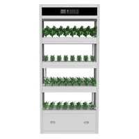 Nouveauté 2025 : Petit jardin intelligent d'intérieur, système hydroponique intelligent d'agriculture verticale pour la culture de la laitue à domicile