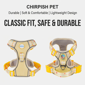 Harnais réfléchissant pour animaux de compagnie, gilet réglable en nylon et maille pour chien et chat avec laisse pour la promenade en extérieur - Product Image 5