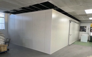 Công nghiệp phòng mát mẻ và tủ đông phòng Blast Tủ đông container đi bộ trong lạnh lạnh lưu trữ - Product Image 2