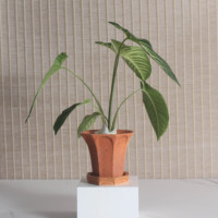 Pot de fleurs en céramique pour plantes succulentes, décoration de jardin d'intérieur, balcon, avec trou de drainage, 2026