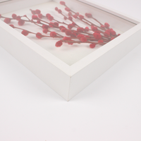 Boîte de présentation personnalisable avec logo sur mesure, moderne, élégante, durable, boîte à ombre profonde transparente, cadre photo 3D