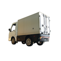 Beemotor Endurance 300 km Mini Fourgonnette Électrique Micro-Voiture de Livraison Dernier Kilomètre Camion de Transport Options Automatique et Manuelle Abordable