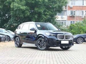 Vehículos de Nueva Energía 2026, 5 Plazas, Pure X Drive 25L SUV Ix1 EV, Auto Eléctrico para BMW - Product Image 5