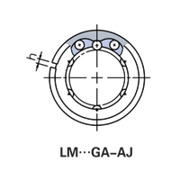Roulement linéaire à jeu réglable LMGS-AJ avec cage en acier et finition nickel-chrome, pour équipement industriel