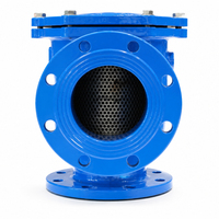Filtro de Agua Tipo T de Difusión con Brida Angular de Acero Inoxidable Personalizable para Tuberías de Bombas de Agua
