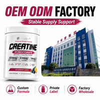 Créatine en poudre de force avancée pour la récupération musculaire et l'hydratation – Complément de fitness formule personnalisée – Vente en gros usine OEM ODM