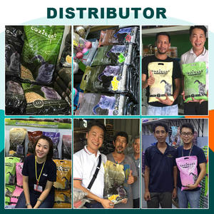 7L ทรายทรายแมวกลิ่นแอปเปิ้ลกาแฟเลมอนเม็ดเต้าหู้แบบไม่เป็นฝุ่นทิ้งเศษเต้าหู้แมวแบบ flushable - Product Image 6