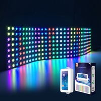 Panel lampu DC 5V WS2812B senar cahaya 8x8 8x32 16x16 256 piksel dapat disesuaikan secara individu matriks layar LED fleksibel untuk lanskap