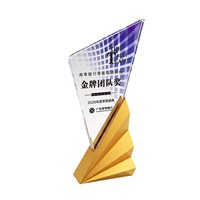 Trophée personnalisé en cristal pour conférence annuelle, cérémonie d'entreprise, souvenir d'entreprise, prix
