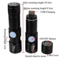 Raylights T218 Mini Senter UV Aluminium Alloy IP65 untuk Berkemah, Baterai Isi Ulang, Pengisian Daya USB, Jarak Sinar 100-200m