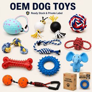 ของเล่นสุนัข OEM รับทำโลโก้แบรนด์ส่วนตัว ของเล่นสุนัขพร้อมบรรจุภัณฑ์ปรับแต่งได้สำหรับแบรนด์สัตว์เลี้ยง ขายส่ง มีสินค้าพร้อมส่ง - Product Image 1