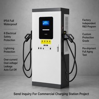 Estación de Carga Rápida Inteligente para Vehículos Eléctricos (VE) Comercial de CC, 80kW 120kW, CCS2 CHAdeMO GBT, Doble Conector, OCPP, T CE GB DLB OEM IP65 con Pantalla LCD