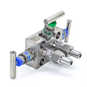 โรสเมาท์ 0305 รุ่นดั้งเดิม ชุดวาล์วรวมสแตนเลส 0305rc22b11 304/306 5 วาล์ว - Product Image 1
