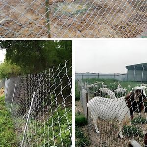 Vendite dirette in fabbrica di recinzioni zincate da 1.8mm da 5 piedi per collegamenti a catena e rotoli di recinzione - Product Image 3