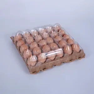 Wholesale S/M/L Three Sizes 30 Holes Paper Bottom Eggs Tray High Quality PET Plastic Food Packaging Eggs Carton