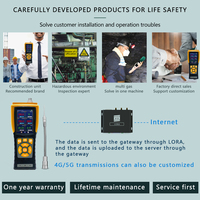 Détecteur de fuite de gaz H2S portable Ppm à gamme personnalisée Détecteur de gaz sulfure d'hydrogène toxique