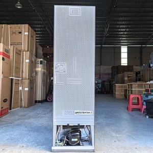 Frigorifero Elettrico Domestico a <span class=keywords><strong>Doppia</strong></span> <span class=keywords><strong>Porta</strong></span>, Grande Capacità 170L, con Raffreddamento Diretto - Product Image 3