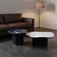 Table basse en bois décorative en promotion pour la maison, le bureau ou la salle à manger – Design simple, table basse ronde en bois, table basse moderne en bois