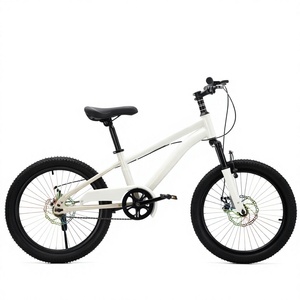 Bicicleta Infantil de 20 Pulgadas, Una Velocidad, Cuadro de Acero, Freno de Disco, Sillín Ajustable, Bicicleta Juvenil para Paseos al Aire Libre - Product Image 4