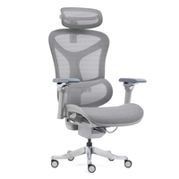 Chaise de bureau ergonomique moderne avec accoudoirs réglables 6D, soutien lombaire réglable, chaise de direction en maille respirante, certifiée classe 4