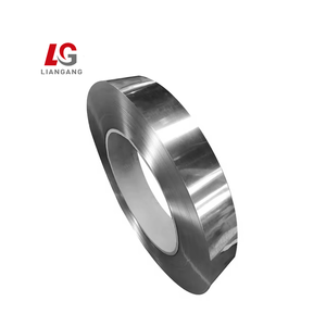 Top Selling 0.25mm <b>Hot</b> <b>Rolled</b> 2B Surface Finish Stainless <b>Steel</b> <b>Strip</b> for Doors with Welding & Cutting Services - Product Image 1