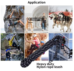 Guinzaglio per cani in Nylon con stampa di moda riflettente Kingtale-2025 guinzagli per animali domestici - Product Image 5