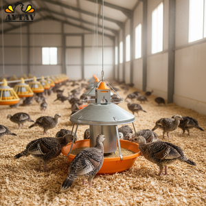 Top Seller New Wholesale Turkey <b>Feeder</b> Automatic AYTAV Model 302020 for Poultry Industry with 1 Year Warranty - Product Image 3