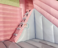 Château gonflable rose pastel et bleu pour événements festifs, avec toboggan double et piscine à balles, pour enfants et adultes