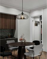 Lustre vintage en forme d'oignon, style industriel, luminaire suspendu E27, lampe de plafond, cage en verre coloré