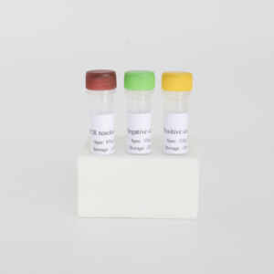 <span class=keywords><strong>PCV2</strong></span>/PCV3 Dual Fluorescent PCR <span class=keywords><strong>Kit</strong></span> - 50 T/Box Vet <span class=keywords><strong>Diagnostic</strong></span> Réactifs ISO Certifié - Product Image 3