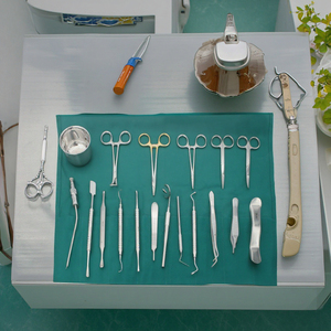 ชุดเครื่องมือผ่าตัดทางทันตกรรมทำจากสแตนเลส18ชิ้นชุดการตรวจวินิจฉัยด้วยมือด้วยมือแบบพื้นฐาน - Product Image 6