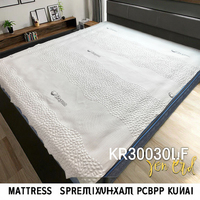 Tissu extensible en tricot circulaire blanc le plus populaire Trame jacquard en polyester respirant pour le tissu de matelas textile à la maison