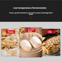 Machine de Fermentation de Pain 32-64 Plaques, Étuvage Électrique Professionnel pour Boulangerie