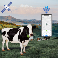 Traceur Gps 2g de vache localisateur de canne Collare pour dispositif de suivi Gps de bétail de chèvre