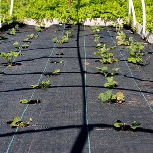 Toile <span class=keywords><strong>de</strong></span> paillage <span class=keywords><strong>anti</strong></span>-mauvaises herbes pour serre, non tissée, non perforée, en rouleaux vert et blanc pour l'agriculture - Product Image 2