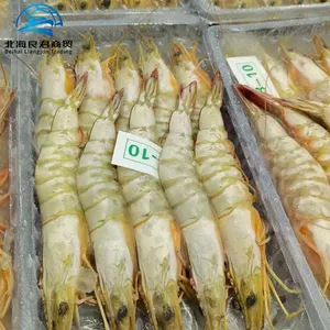 China nice cost performance wholesale seafood fresh live shrimp frozen prawns frozen white shrimps