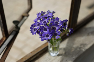 Sony FE 50mm f/1.8 (SEL50F18F) - Product Image 6