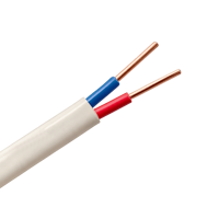 Elektrisches Kabel BV BVV BVVB Einadrig/Zweidrig/Flach/RV/RVV/RVVB Massives Sauerstofffreies Kupfer Flexibles Stromkabel 3-adrig 4 Rollen 300/500V