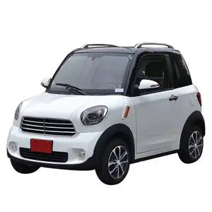 In China Prijs Goedkope Hoge Snelheid Auto Nieuwe Bldc Mini Elektrische Auto