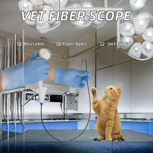 Equipo Médico de Ureteroscopia Flexible Reutilizable Y2810, Endoscopio de Pieloscopia para Uso Quirúrgico Veterinario - Product Image 3