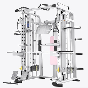 Multi-Functional Women's Gym Equipment Custom Color Fitness Complete for WD-WG OEM/ODM Customization Service One Stop Fitness Eq - Product Image 2