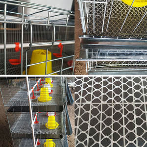 좋은 가격 치킨 사육 아기 Brooder 케이지 배터리 H 형 Coop 레이어 공장 공급 업체 짐바브웨 우간다에서 직접 판매 - Product Image 3