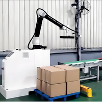 Robot palettiseur automatique collaboratif Machine à empiler Cobot Carton Case Bag Palettizer PLC Discount Price Robot Stacker Food