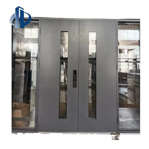 Moderne Licht Luxe Gietijzeren Draaideur met Zijlicht Gehard Glas Anti-explosie Verticale Gegroefde Textuur Ingang Deur - Product Image 2