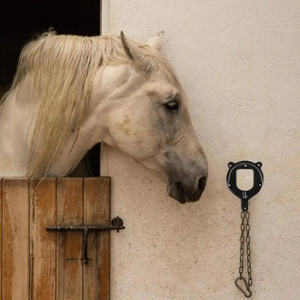 Durable avec crochets supports de <span class=keywords><strong>selle</strong></span> tuyaux et vis cintre de licou <span class=keywords><strong>mural</strong></span> support de bride multifonctionnel Ranch - Product Image 3