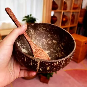 Vajilla ecológica, cuenco de Coco Natural, ensalada de madera, cuencos de cáscara de Coco, cuchara